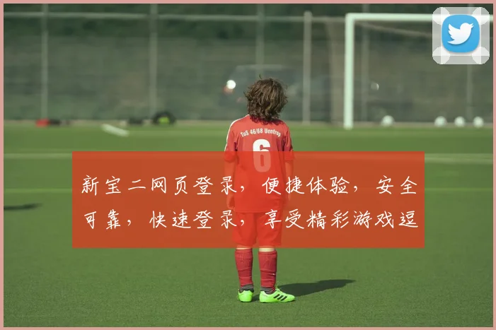 新宝二网页登录，便捷体验，安全可靠，快速登录，享受精彩游戏逗逗逗